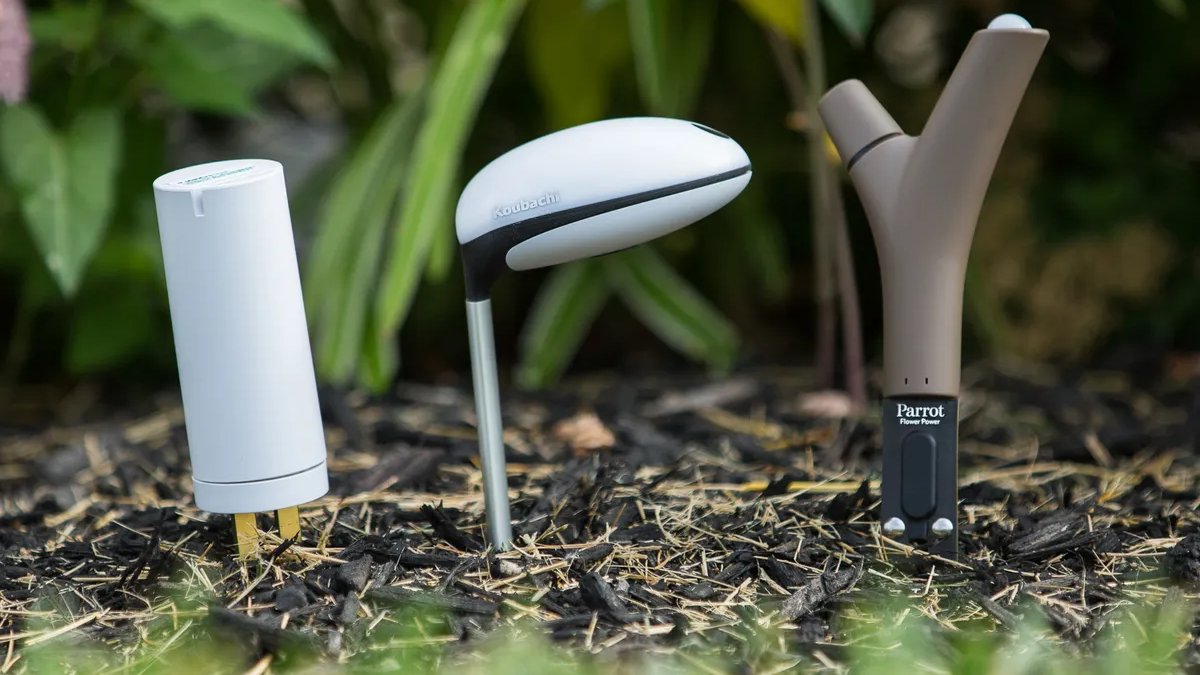 The #PlantSensors market is blossoming as more #gardeners and #farmers seek innovative #CropManagement ways. #SmartDevices are redefining the way we cultivate, offering real-time insights into #SoilMoisture, #LightLevels, temperature, and #PlantNutrition: bit.ly/3Tm7lun