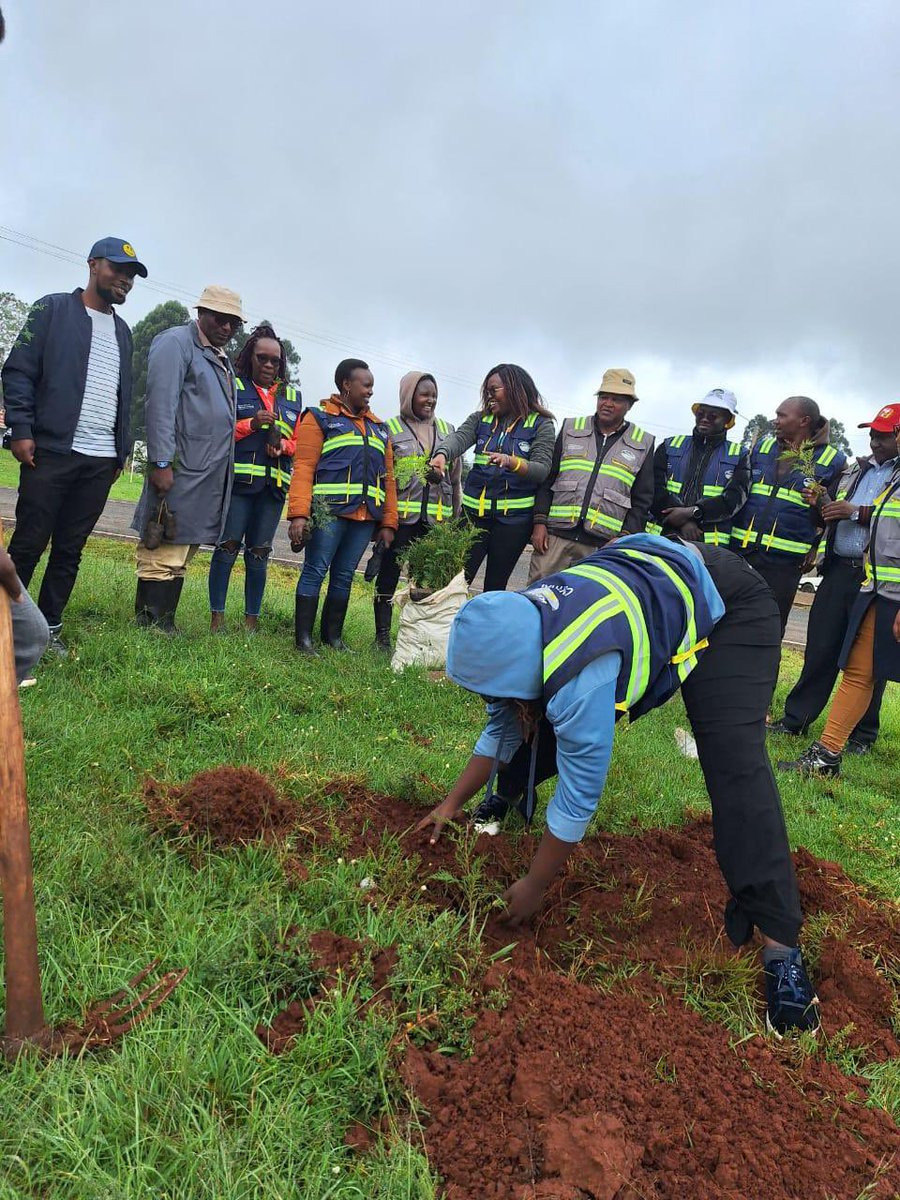 KeNHAKenya's tweet photo. 1/2 The KeNHA Central Region team, led by Director Eng. Francis Kimata, commemorated the National Tree Planting Exercise along the Nyeri - Othaya - Kangema (B23) and Othaya - Karatina (B27) Roads. https://t.co/OIHoknWsXA