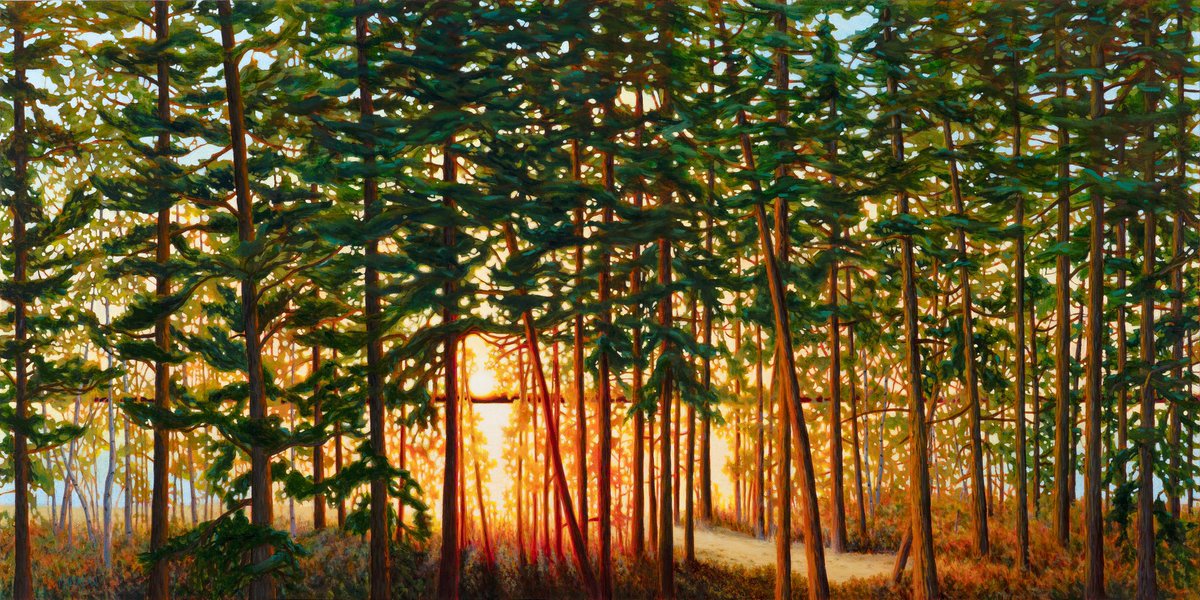“The Path Home”
melissajeanart.com/products/the-p…
#goldenhour #lakeart #bluelake #northwesternontario #sunsetcountry #lotw #kenora #Canadian #art