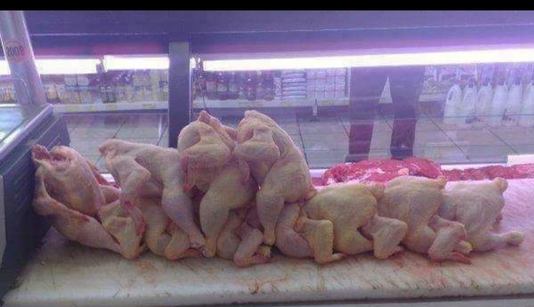 #Fiyatları artınca satılamayan tavuklar sıkıntıdan uzun eşek oynuyorlar😀