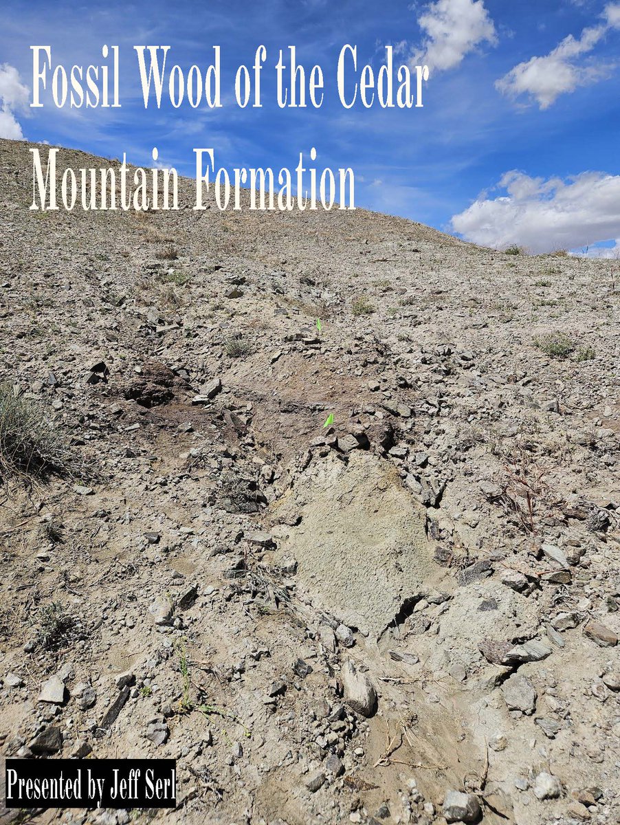 UFOP, Castle Country Ch. UFOP will be Tues, May 14 at 7 pm speaker Jeff Serl, 'Fossil Wood of the Cedar Mountain Formation,' Register in advance for Zoom: usu-edu.zoom.us/meeting/regist…