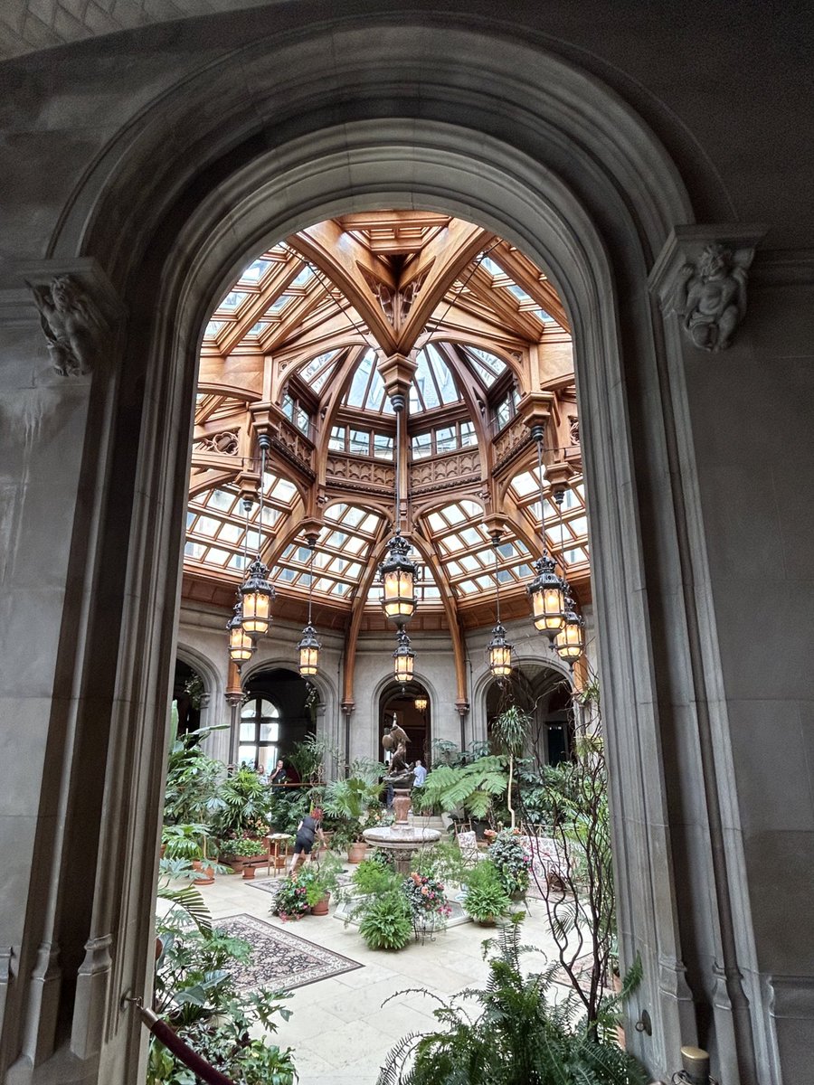 Mike Mosquera ⚡️ tweet media