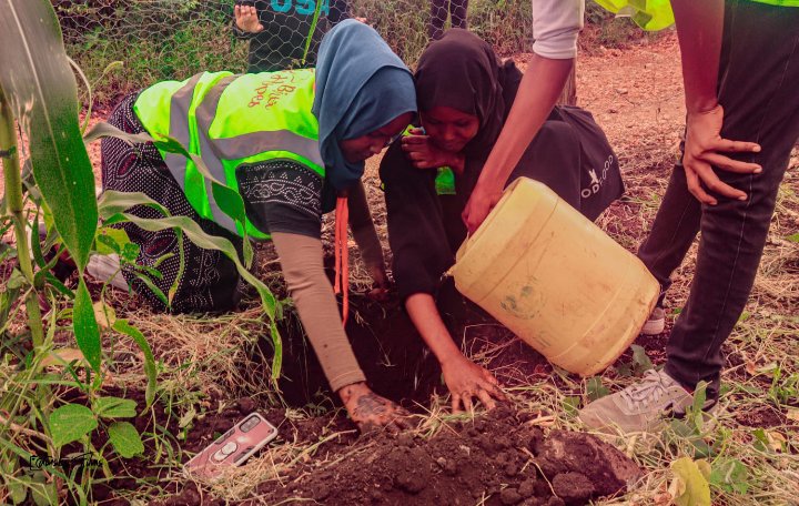 Today we participate  in Tree Planting Day , climate change is one of our key program, Let's celebrate by planting single trees and contributing to a greener, healthier planet. 🌳🌍 #TreePlantingDay #GreenEarth #Sustainability #bintihopes