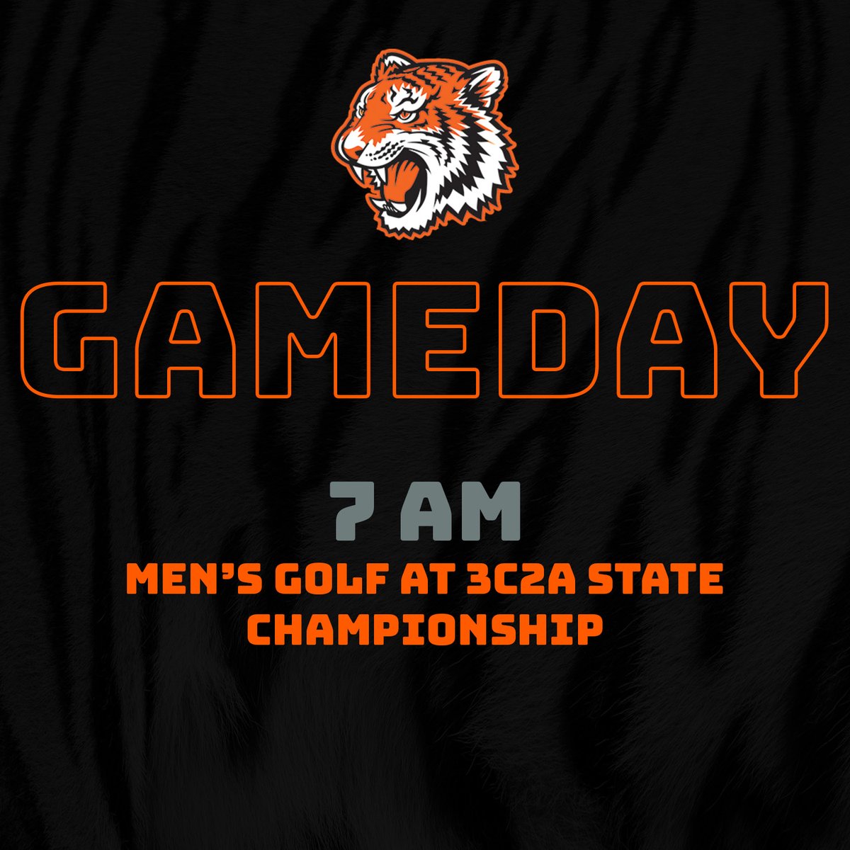 Best of luck to our two men's golfers competing at the @3c2asports Championship today and tomorrow! 🐯 #TheCommunitysCollege