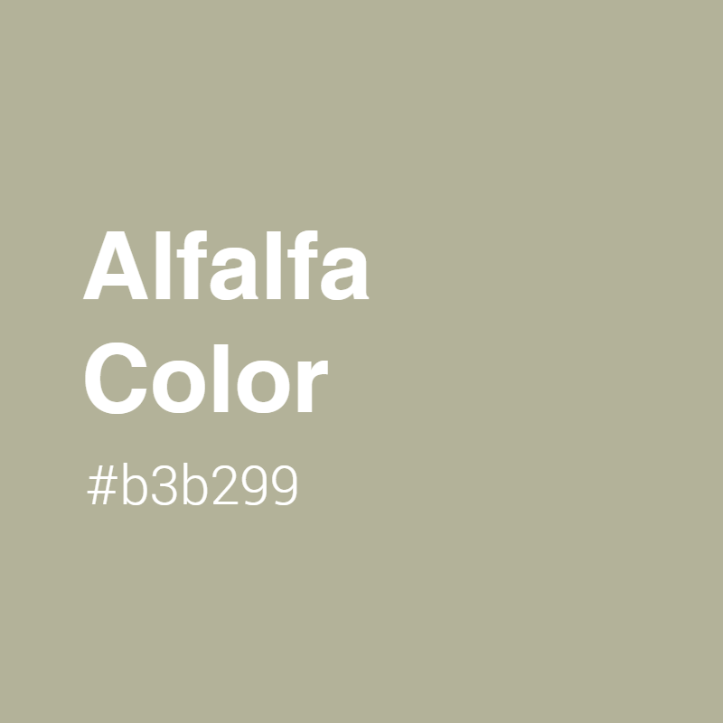 Alfalfa color #b3b299 A Cool Color with Green hue! 
 Tag your work with #crispedge 
 crispedge.com/color/b3b299/ 
 #CoolColor #CoolGreenColor #Green #Greencolor #Alfalfa #Alfalfa #color #colorful #colorlove #colorname #colorinspiration