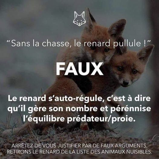 #chasse #antichasse #ChasseAbolition #ruralité #RuralitéAntichasse #ChasseurPsychopathe #société #Europeennnes2024 #france #ElectionEuropeennes