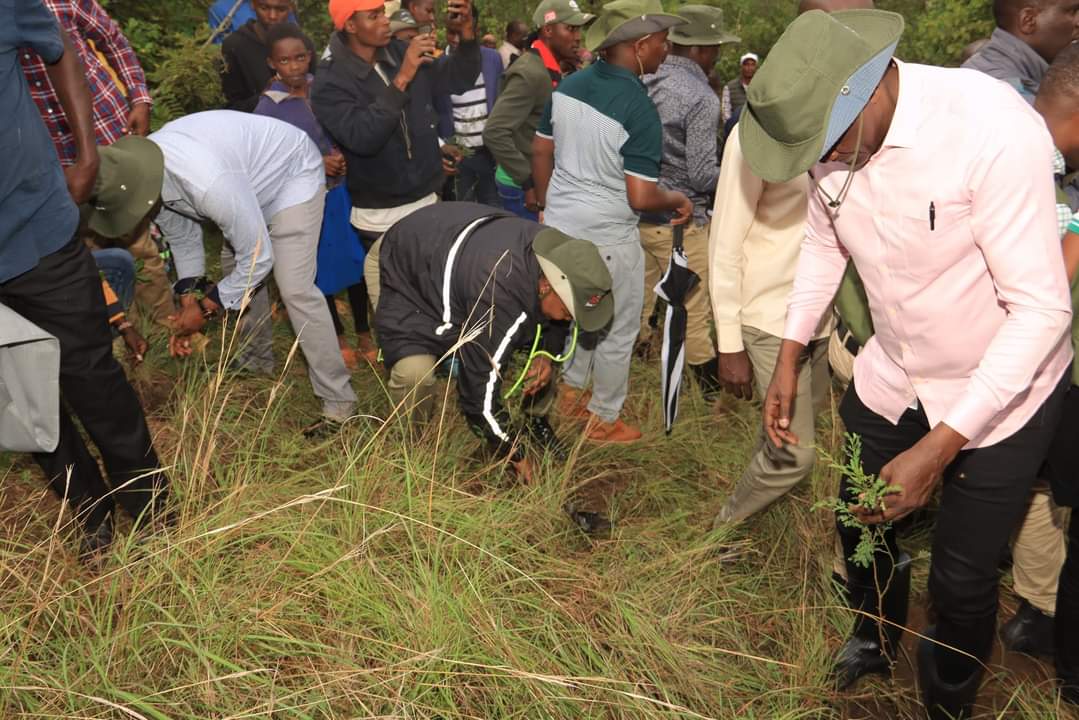 On Friday, May 10th, 2024, I had the opportunity to join the President of Kenya, H.E DR. @WilliamsRuto,in celebrating the National Tree Planting Day.The goal was to commemorate the victims of floods and take proactive measures towards environmental conservation. Vero Ni Tiki ✅