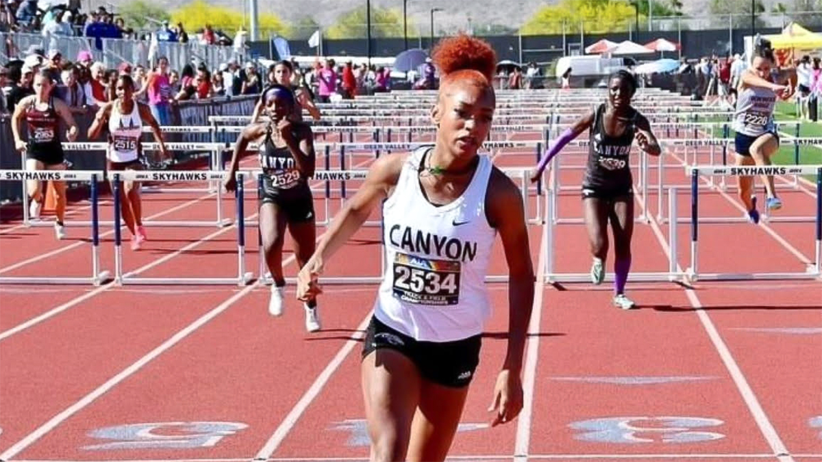 PVSchools tweet media