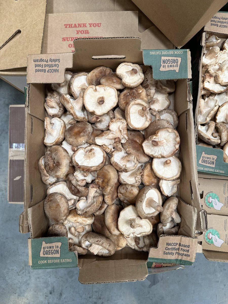 🍄 Seen at the warehouse: Shiitake mushrooms! What are your favorite ways to cook up the umami goodness of Shiitake mushrooms?