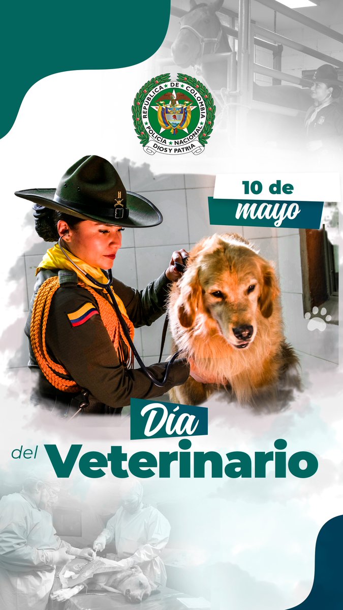 En el #DíaDelVeterinario, queremos expresar nuestro profundo agradecimiento a todos los veterinarios de la policía que trabajan incansablemente para cuidar y proteger a nuestros compañeros de cuatro patas. Su dedicación y amor por los animales son invaluables.🐾👮‍♂️👮‍♀️