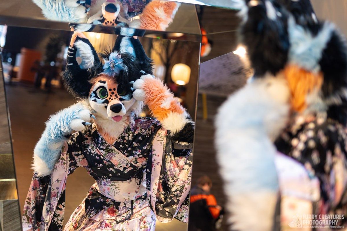 Look at her, she’s beautiful 🌸😱 What a fox 🦊 📸 Furry creatures photography fb: @furcphoto 🧵 @Fireflystudiof2 #NFC #NFC2024 #fursuitfriday #furry