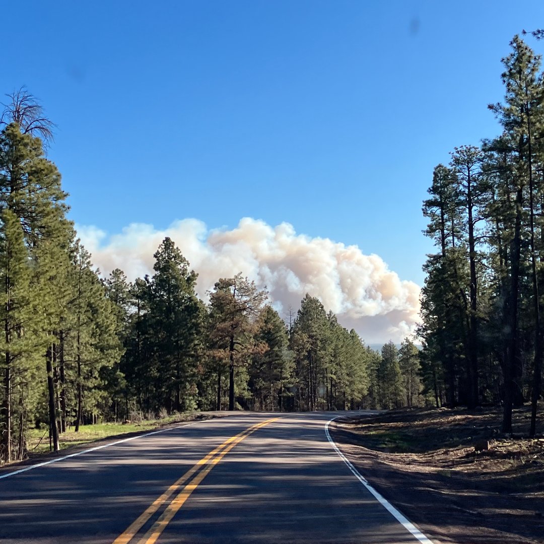 *SR 87 REOPENS NORTH OF PAYSON* SR 87 has reopened between SR 260 and Lake Mary Road following a managed fire related to the Wolf Fire. A pilot car will guide one direction of traffic at a time on SR 87 between mileposts 287-290 until at least midday Saturday.