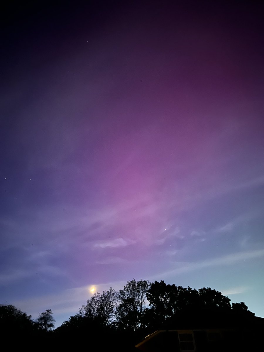 Never thought I would see the #NorthernLights in #Sussex ⭐️ #aurora