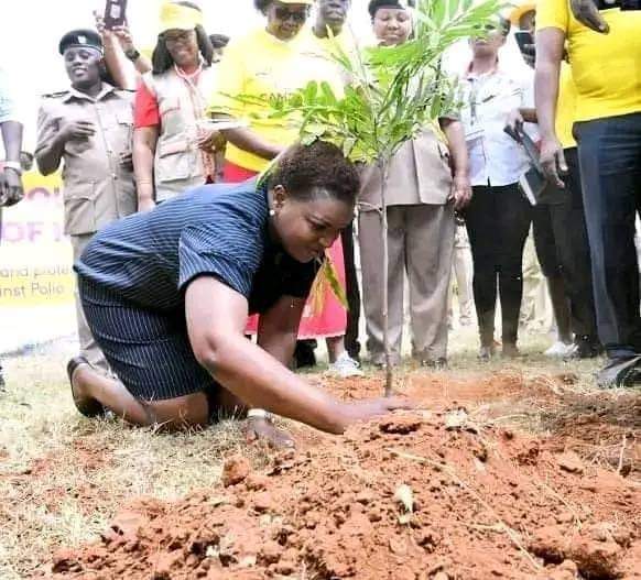 My friend the CS Susan @Nakhumicha_S .. hii NI style gani ya kupanda miti? Confirmed TV 47 #TreePlantingDay #TreePlanting #SomeonetellCSNakhumicha