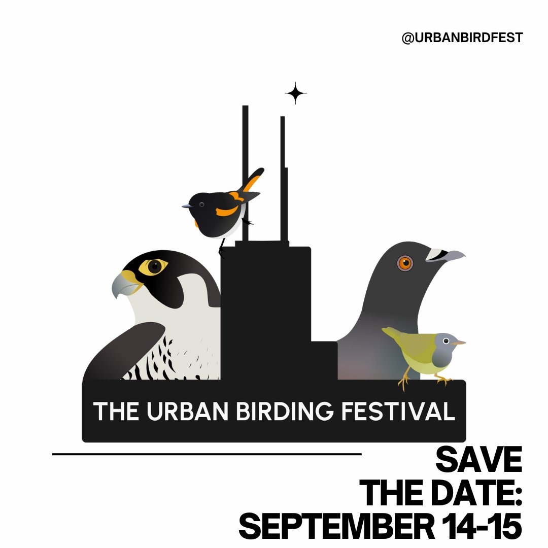 After several months of planning, we can finally share that the inaugural Urban Birding Festival is coming to Chicago on September 14 and 15. Be on the lookout for a full list of trips, events, and registration details this summer. theurbanbirdingfestival.org