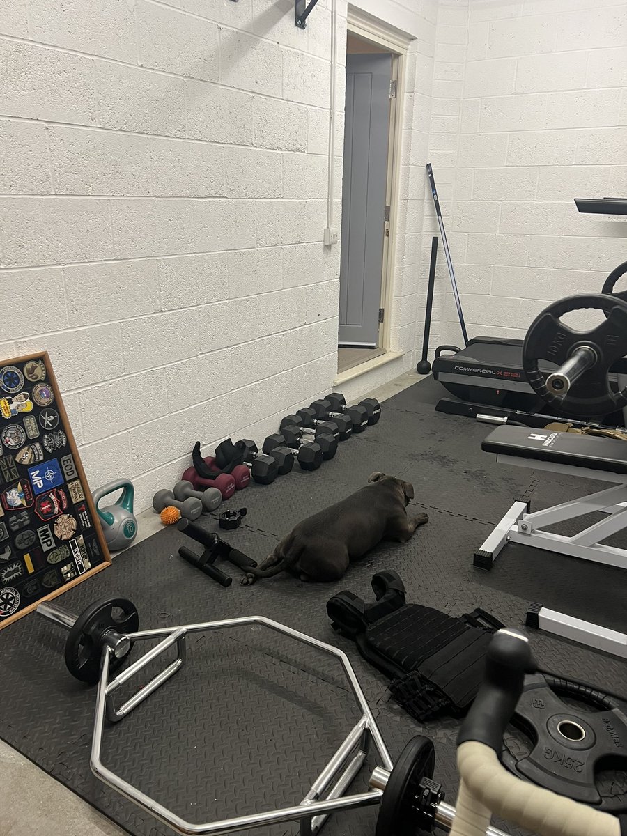 Great company from my late night gym buddy 😐