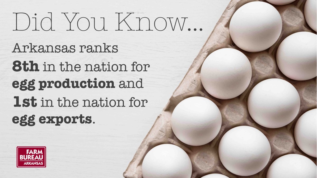 May is #EggMonth. Arkansas produces more than 1.59 billion shell eggs annually. Read the proclamation here ow.ly/n06L50RCgkT #FarmFactFriday