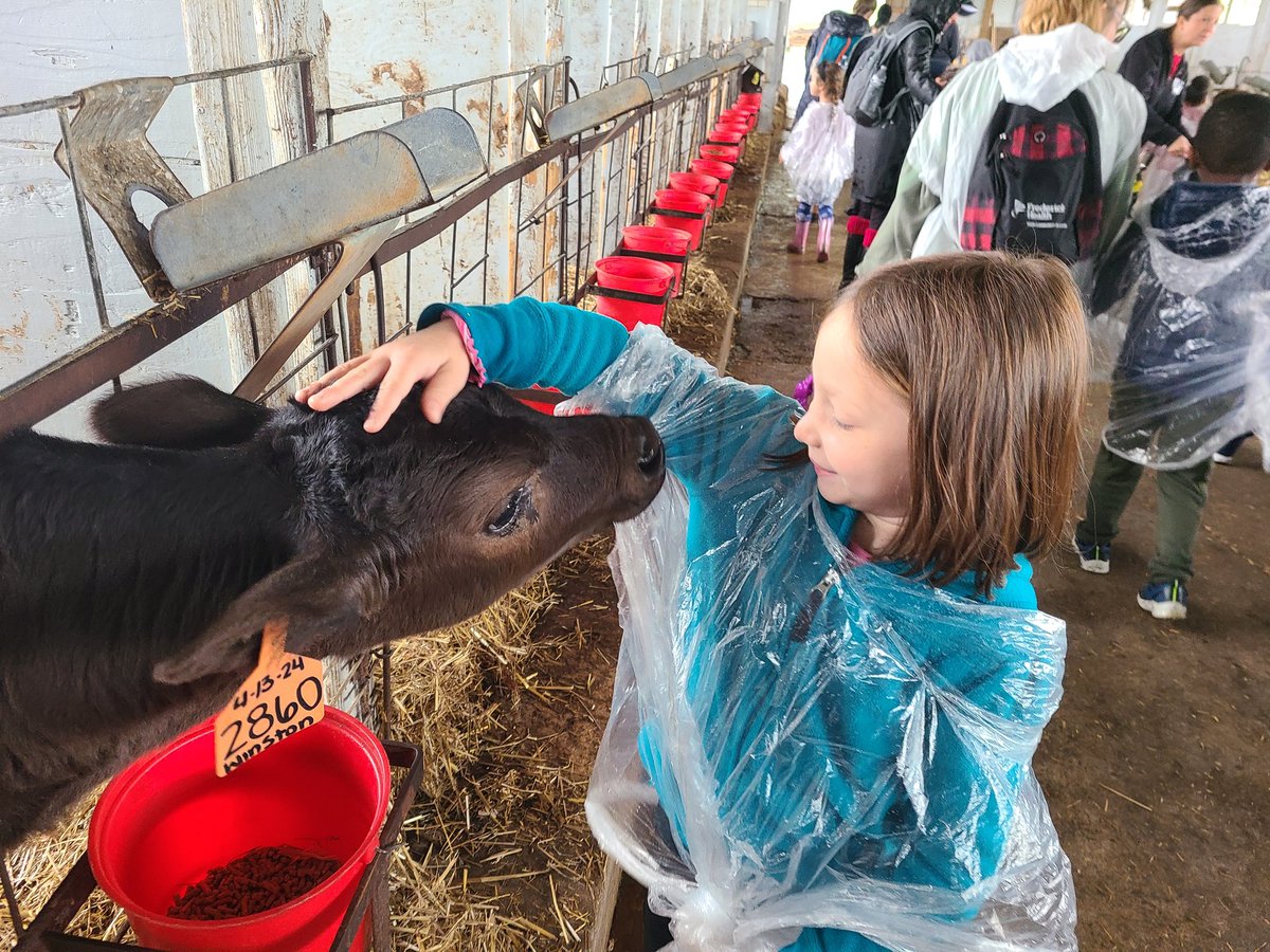 CindyNewmeyer's tweet photo. Rain pitter-pattered overhead, but our Kindergarten crew found magic in the mist at the farm creamery, where cows turned drops into dreamy scoops! 🌧️🐄🍦@SMCDairy https://t.co/xSV3Gbeh2q