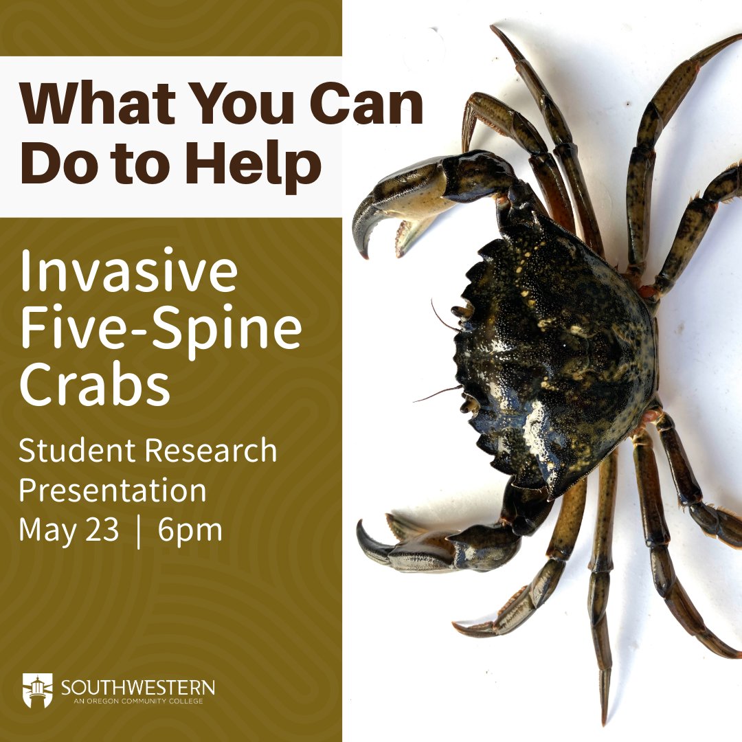 Five-spine crabs have been causing chaos on the East Coast for more than a century, and now they're venturing westward. Learn how you can join the battle against this invasion and protect our ecosystems. Details: bit.ly/4bocvO2 #CoastalConservation #SaveOurEcosystems