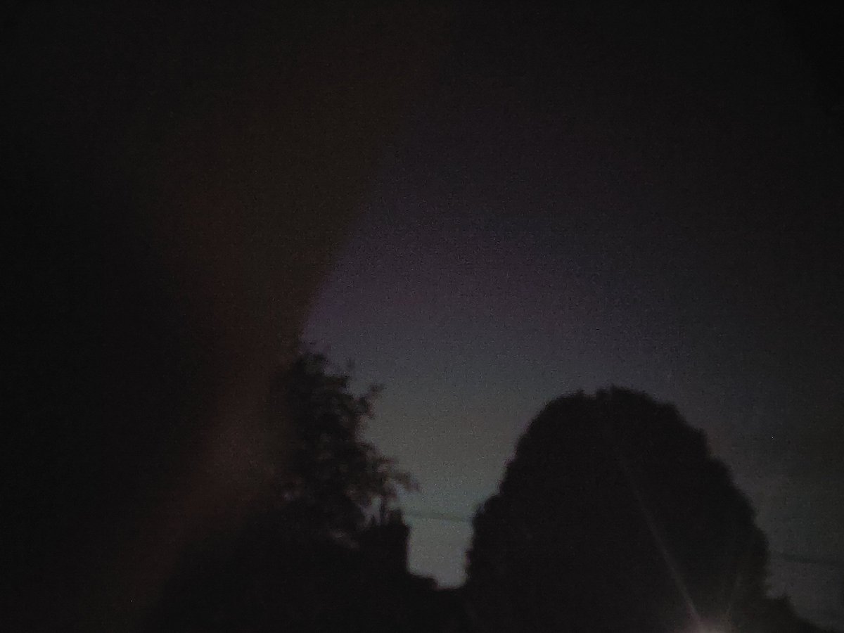 GJGamble 🐜 tweet media