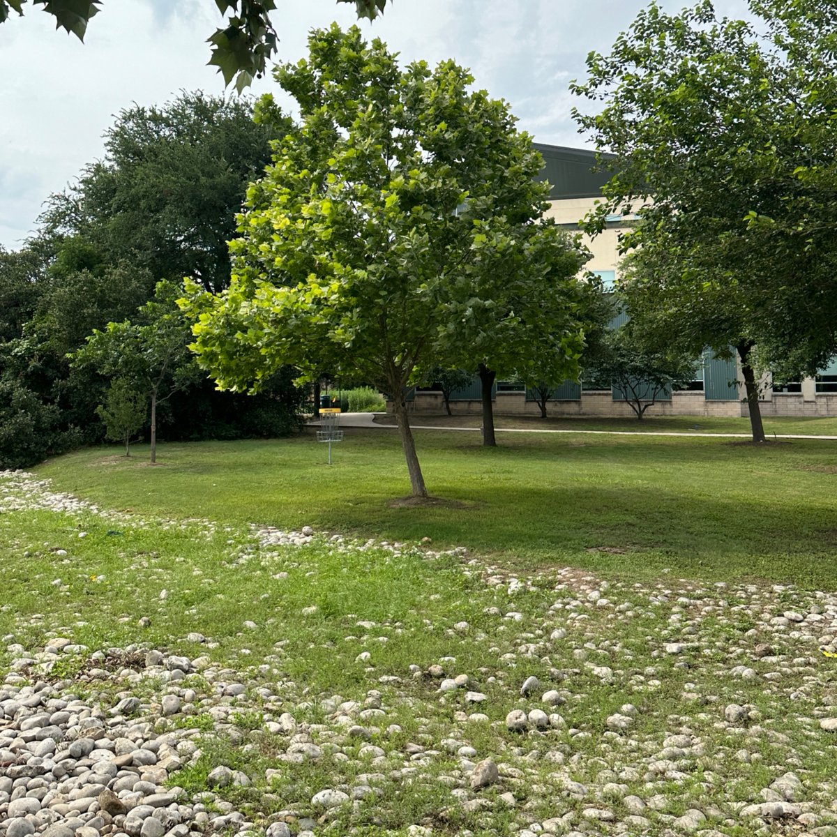 Embracing the beauty of nature at the heart of NVC campus. We couldn't ask for a more inspiring setting! 🌳🍃 #NatureLove #CampusLife