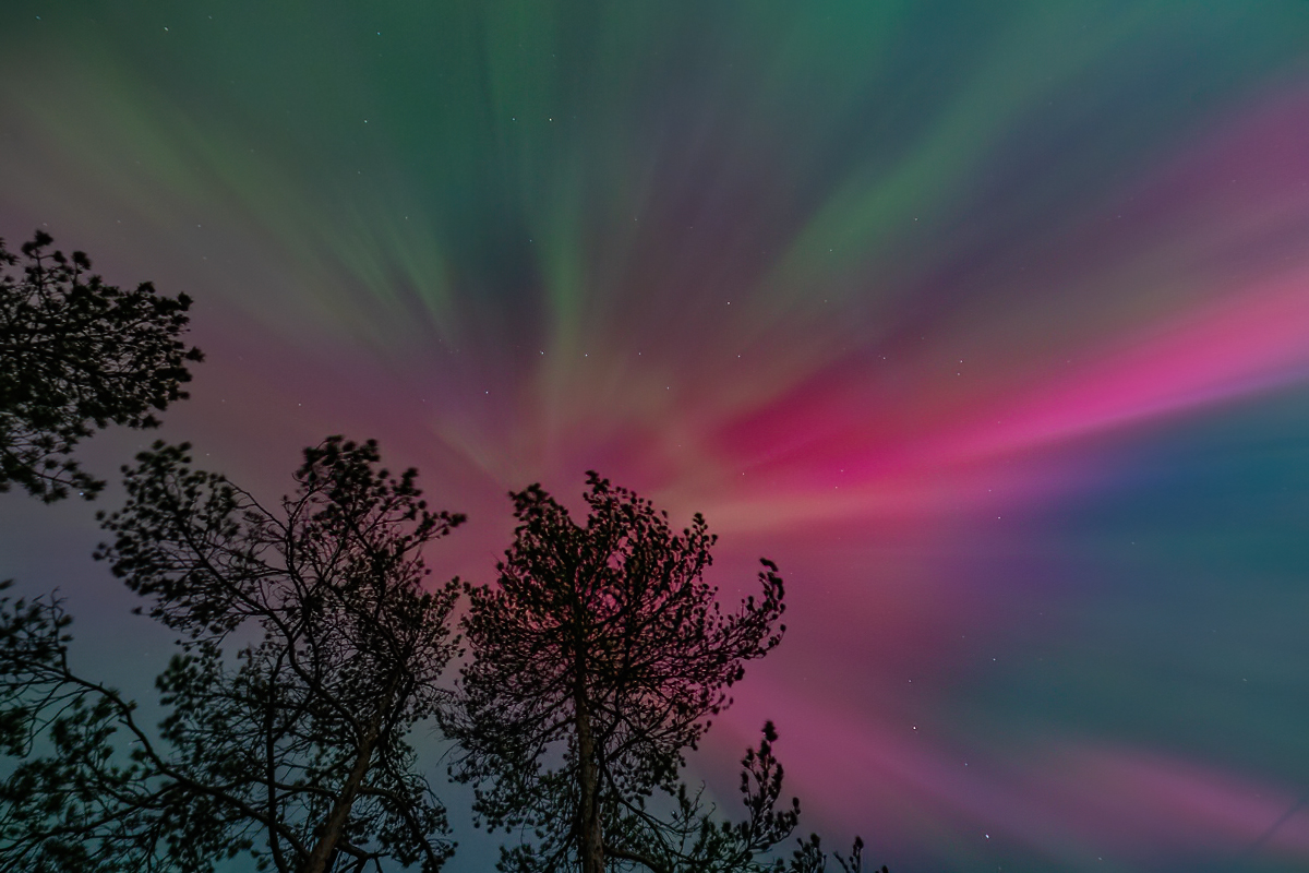 Mjā... par šodienas šovu 12 punkti. Taču ir viens bet - es neņemos šo saukt par ziemeļblāzmu - vietā, kur biju (Kuldīgas novads) to varēja saukt par "Austrumblāzmu", "Rietumblāzmu", "Dienvidblāzmu" un "Virsgalvblāzmu", taču Ziemeļu virzienā bija tukšs...