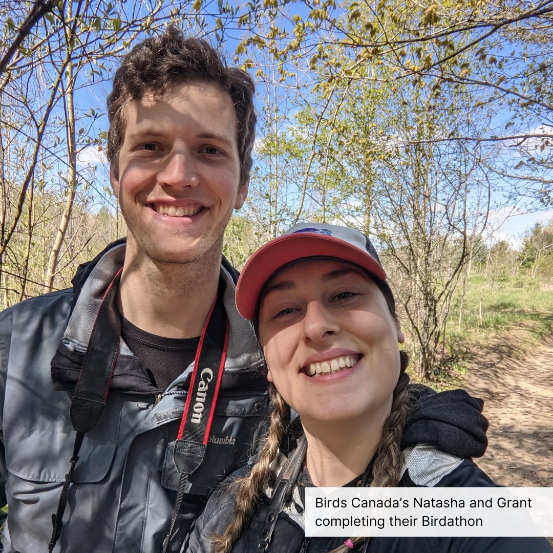 #Birdathon is officially underway across Canada! Bird enthusiasts are out in full force, spotting as many birds as they can while raising funds for bird conservation. Register and share your Birdathon: birdscanada.org/birdathon