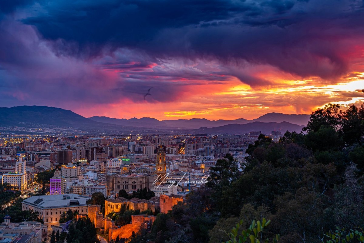 Lo de hoy ha sido de traca. 
¡Sin palabras!

10/5/2024

Si, evidentemente es Málaga.