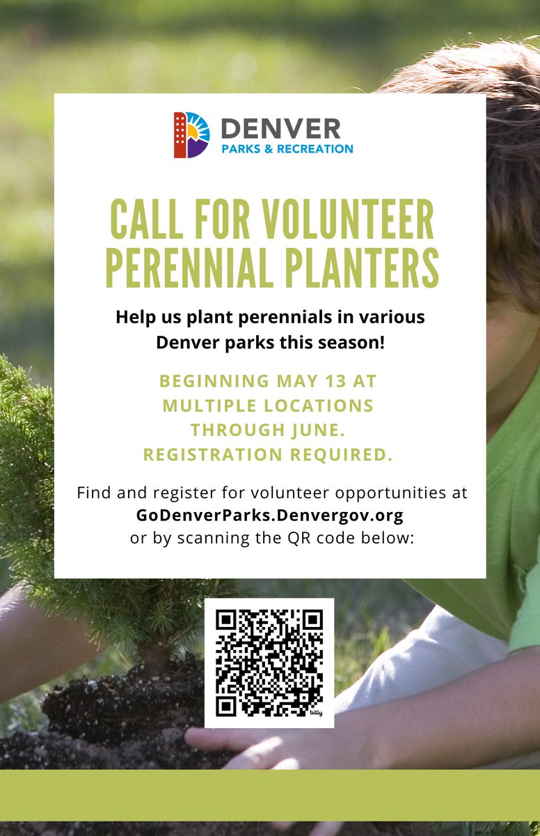 Perennial planting projects in various parks kick off next week! Volunteers are needed to help plant-- find and register for opportunities: godenverparks.denvergov.org/Calendar