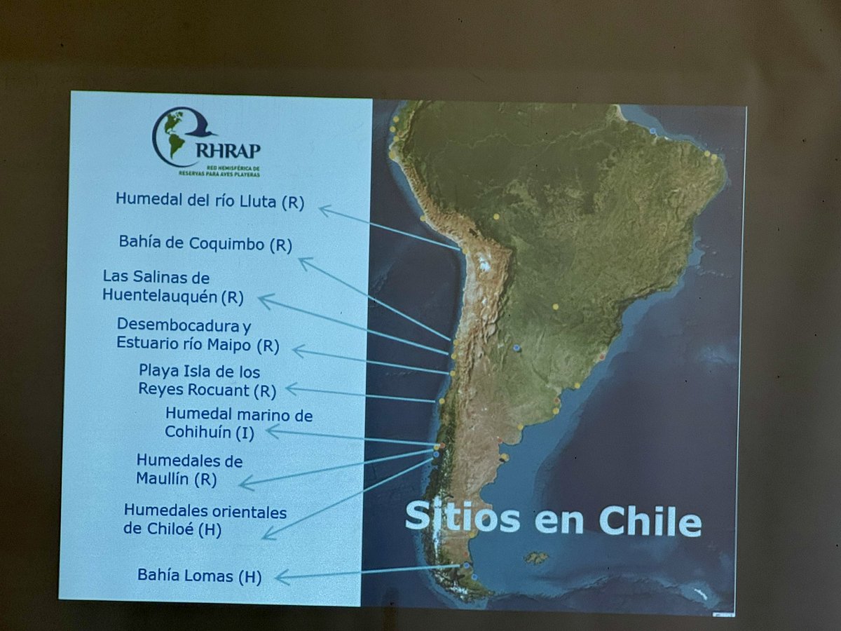 Seremi M.A. Maule tweet media