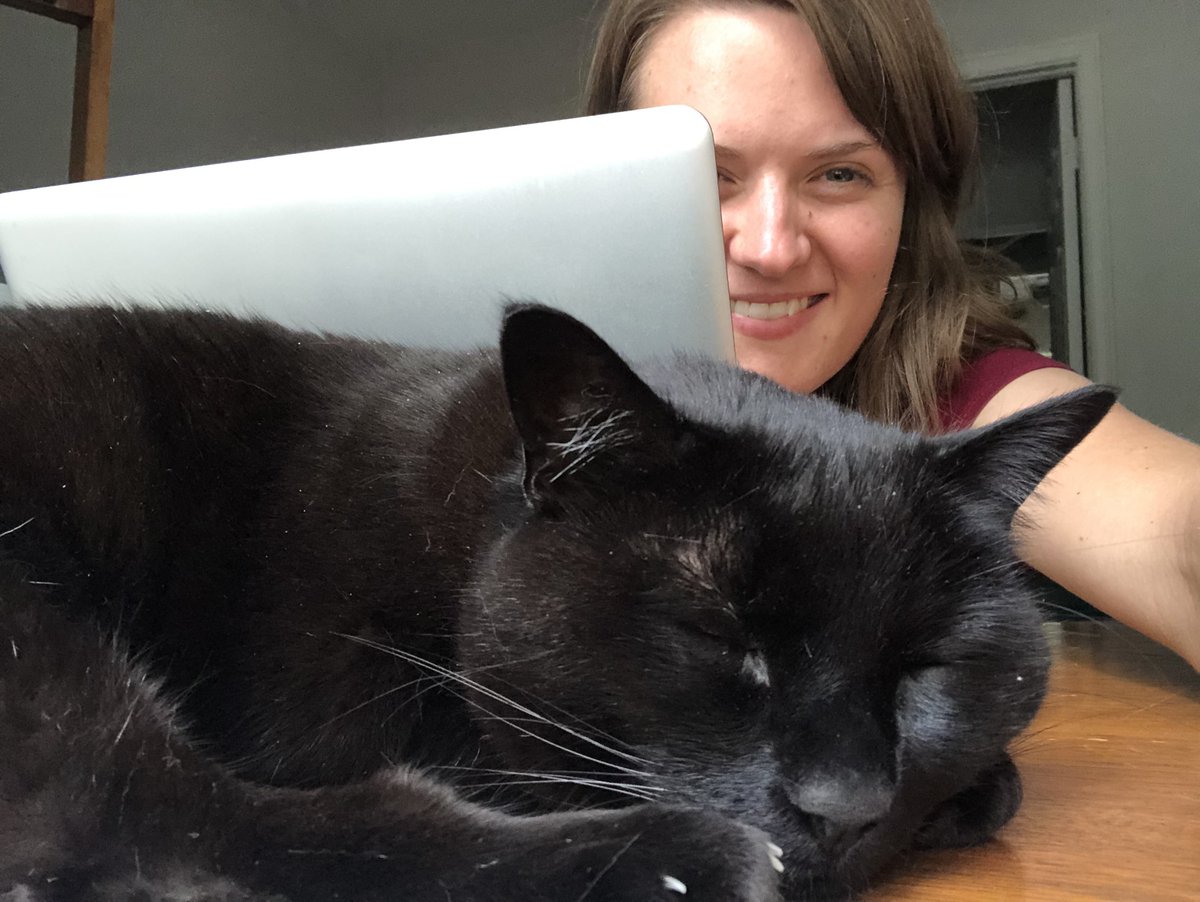 Kate Payne tweet media