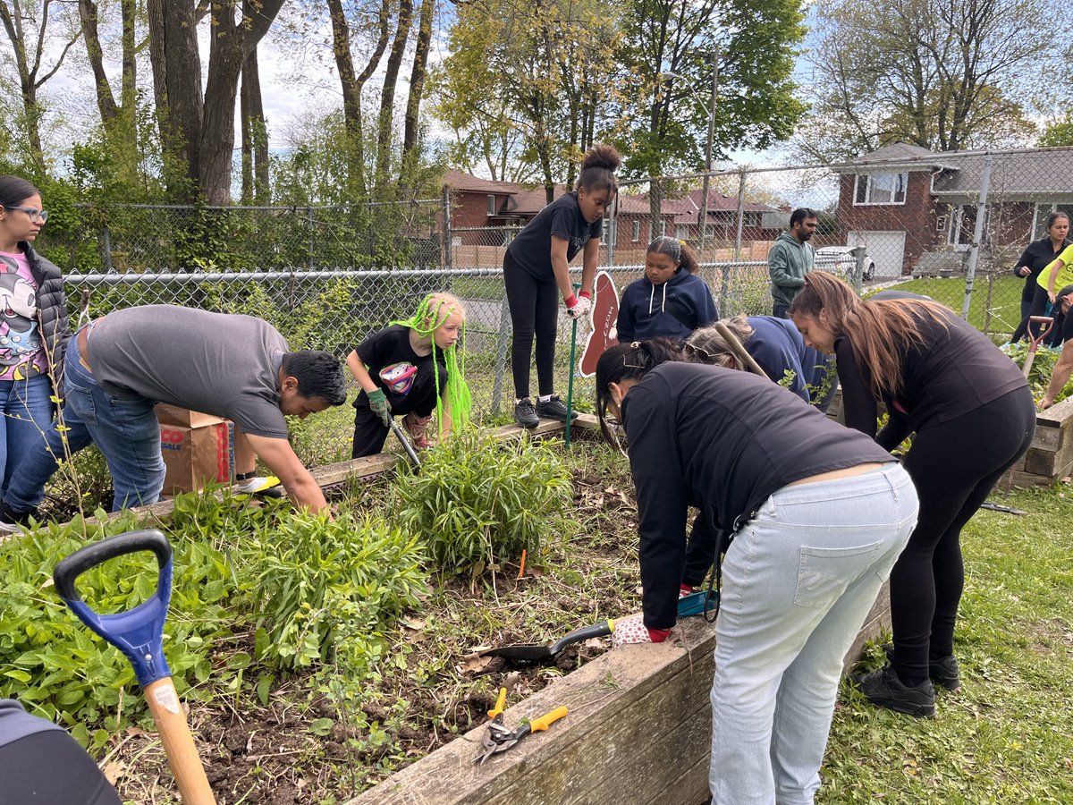 TDSB_IonviewPS's tweet image. Community gardening event ⁦@TDSB_IonviewPS⁩ @Harrismusic4 ⁦@MillerCaise⁩