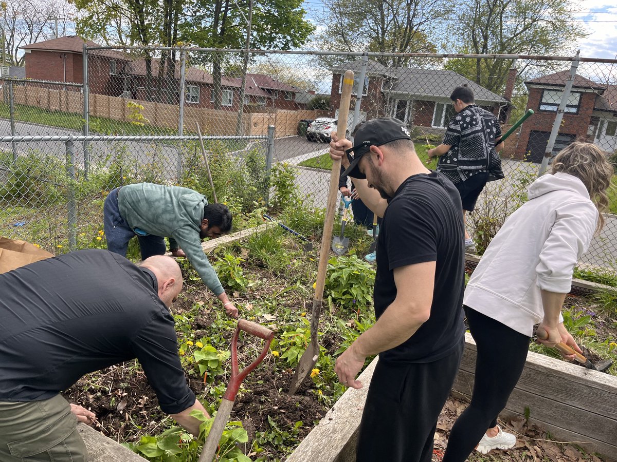 TDSB_IonviewPS's tweet image. Community gardening event ⁦@TDSB_IonviewPS⁩ @Harrismusic4 ⁦@MillerCaise⁩