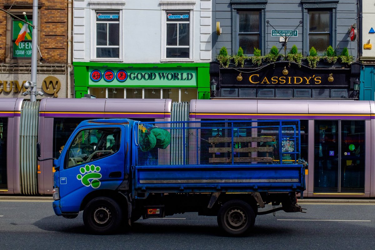 Dublin 2024

#streetphotography #myfujifilmlegacy