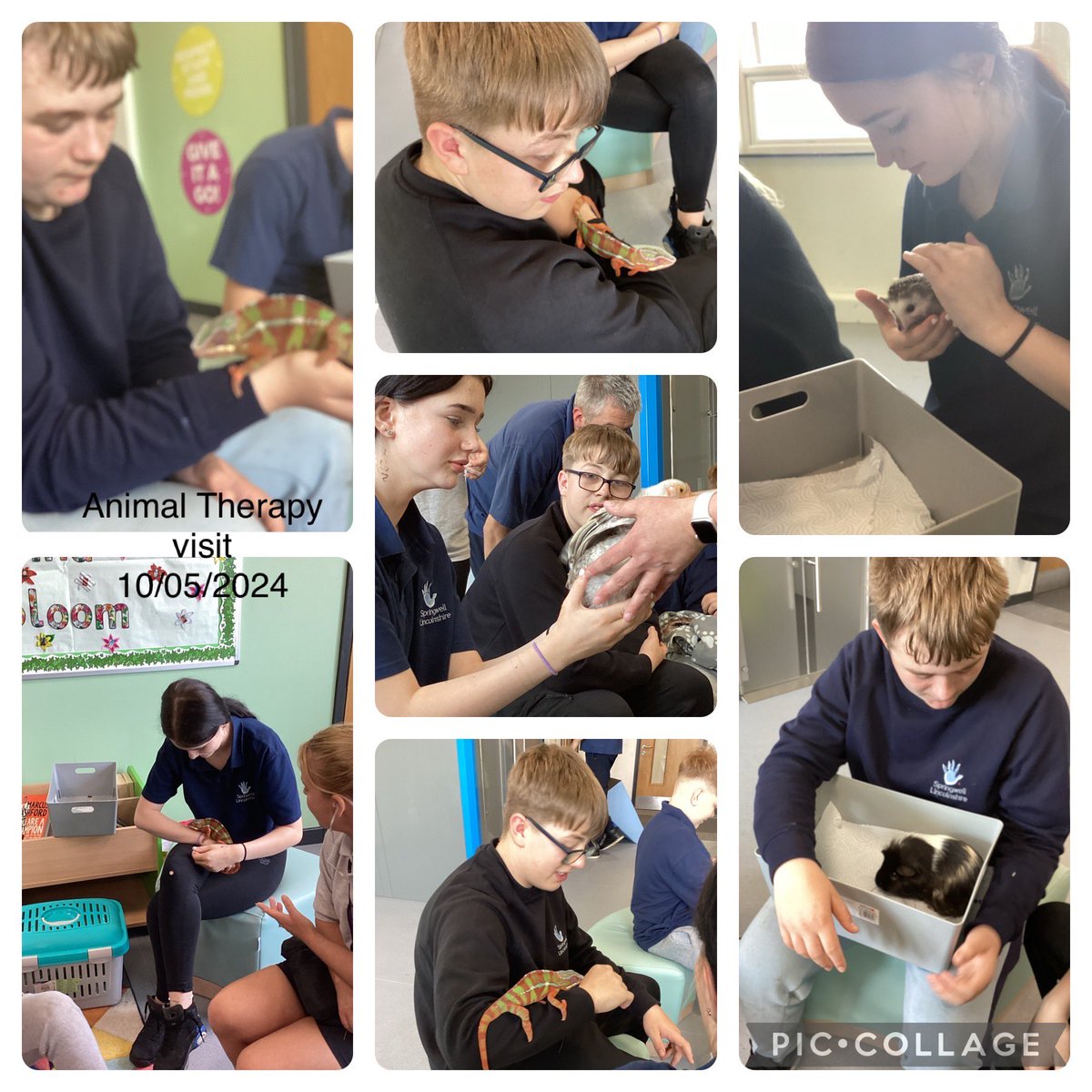 Enrichment today consisted of a CPR Workshop with lives and a visit from therapy animals. It’s was great to see everyone so engaged! #lifeskills #wemakeadifference