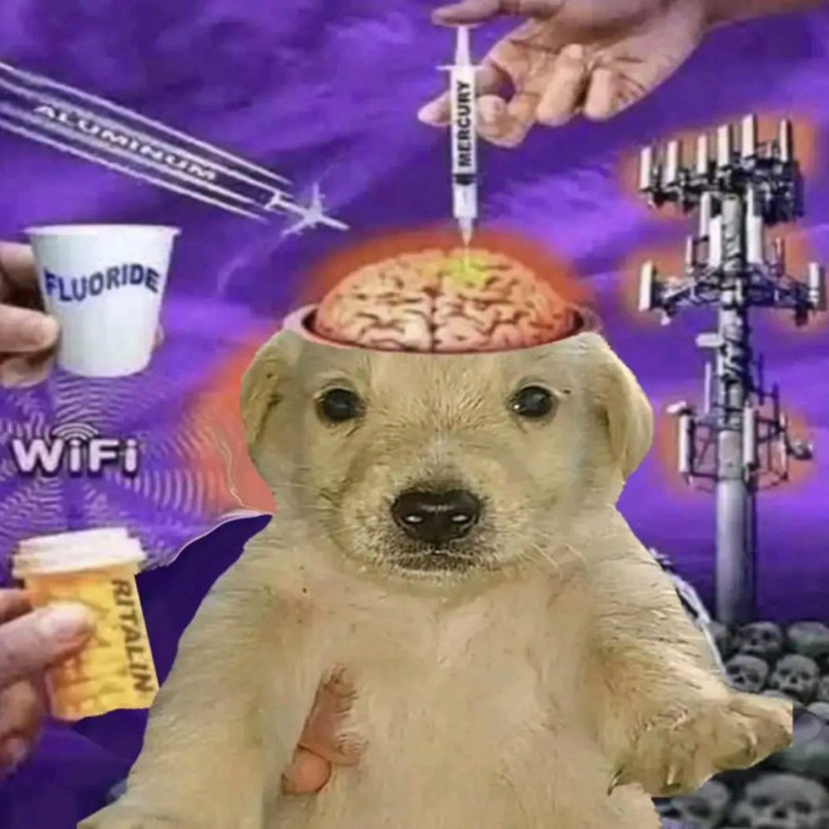 hoy estaba en una videollamada y quise adelantarla como si fuera un vídeo
