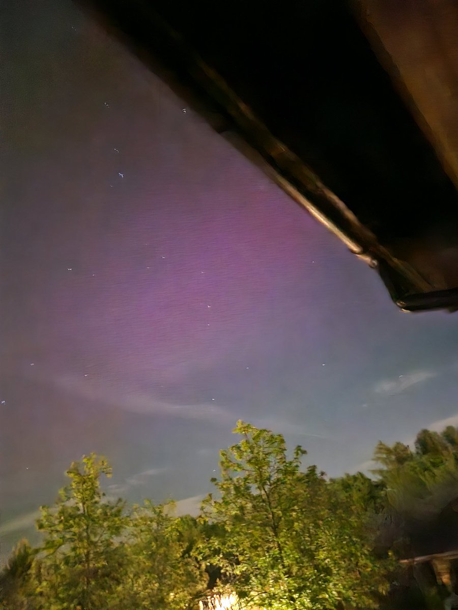 Joanne Davies tweet media