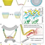 Photo by Jack Zhang Lab (@zhang_lab)