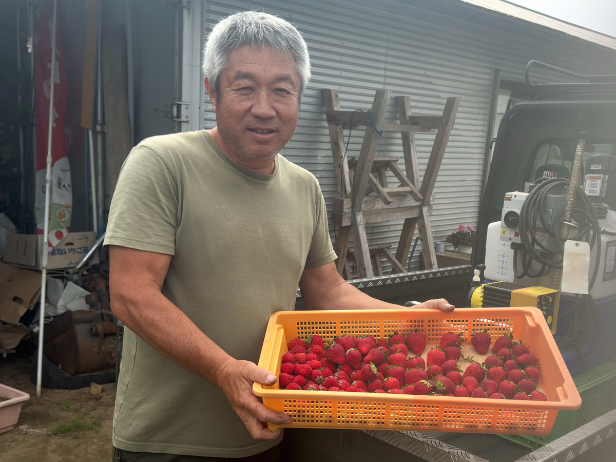 redoxgrows's tweet photo. The Redox team and Axxion visited Fujishiro strawberry farm where they are utilizing a new injection pump to apply Redox products. 🍓 https://t.co/dQ0QmGRD5I