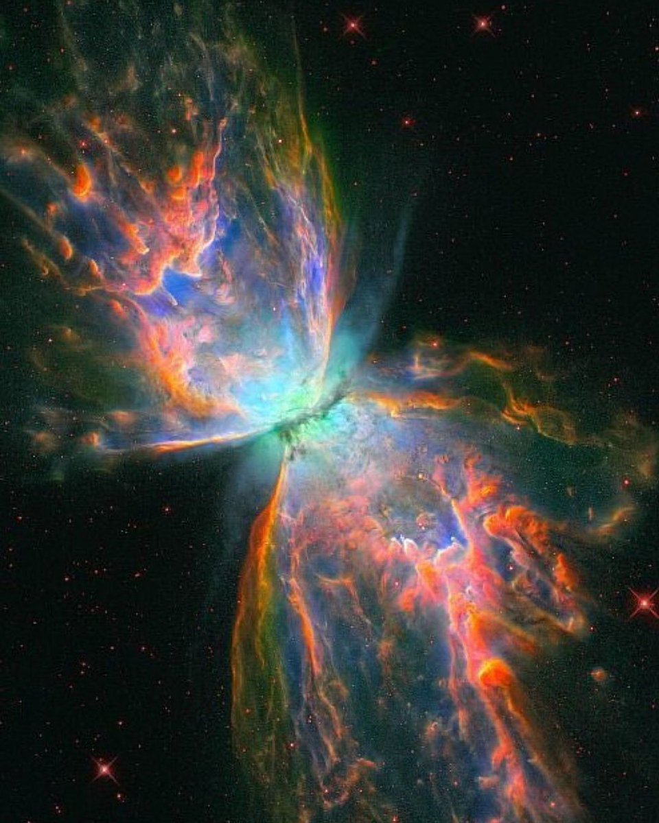 Outstanding ‘Butterfly Nebula’ 🦋🛰️ by Hubble Space Telescope #nasa #hubble #nebula #photography #astro