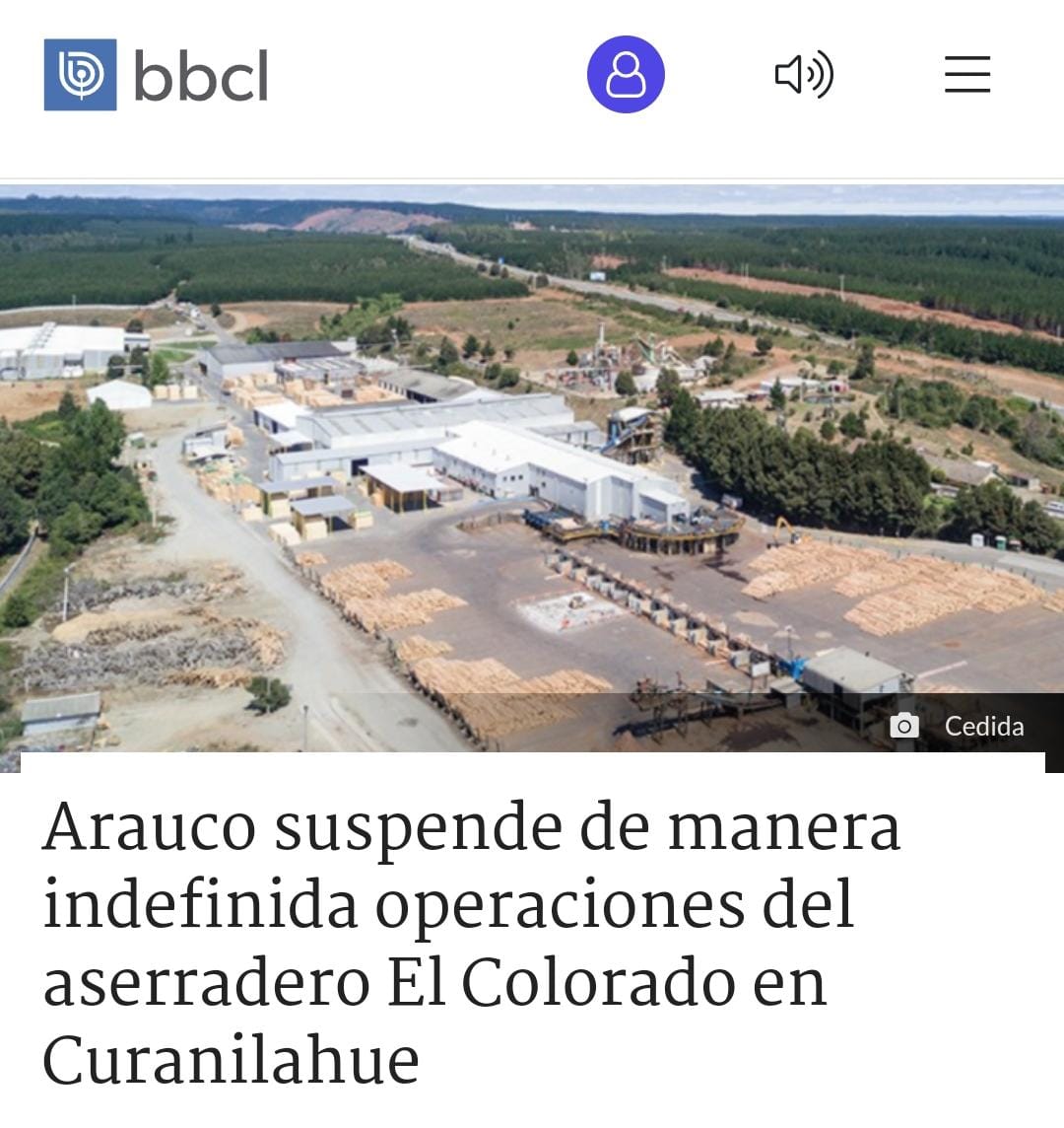 ⚠️ AHORA | Arauco suspende de manera indefinida operaciones del aserradero El Colorado en Curanilahue biobiochile.cl/noticias/nacio…