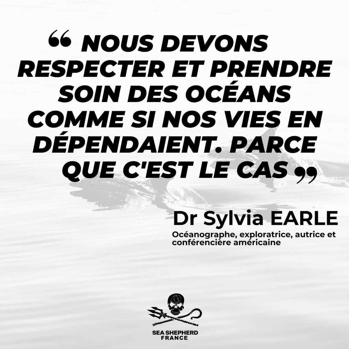 Sea Shepherd France (@SeaShepherdFran) on Twitter photo 2024-05-10 17:33:07