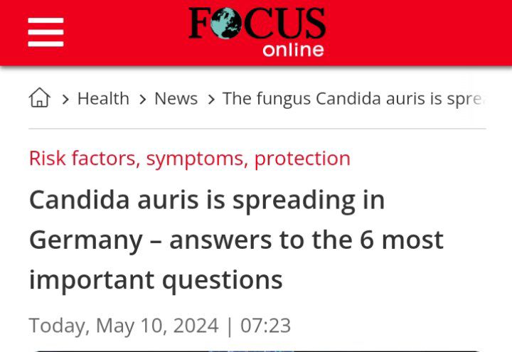 “Candida auris is a pathogenic yeast fungus that is widespread worldwide and can cause invasive candidiasis (= fungal infection) in the blood, heart, central nervous system, eyes, bones and internal organs.”