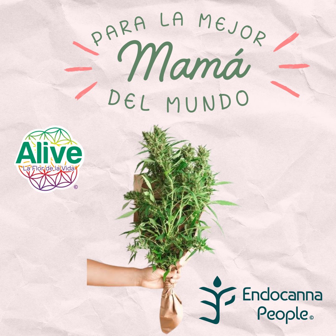 AliveMXOficial's tweet photo. En este día especial, celebremos el amor incondicional, la fortaleza y la dedicación de todas las madres. 

¡Feliz Día de las Madres! https://t.co/zH2AfjOTAF