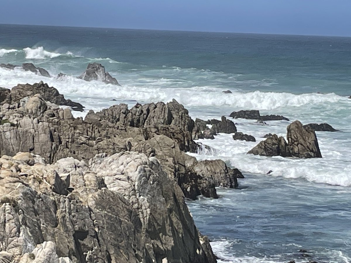 Un petit air de Bretagne sur fond californien #17miledrive entre Monterey et Carmel by the sea