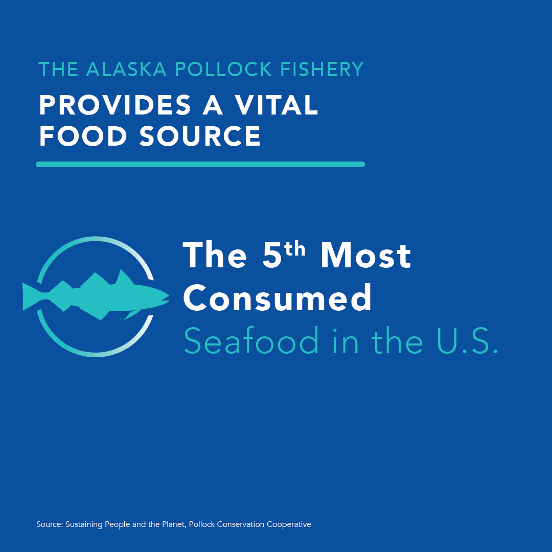 Fact: Alaska pollock is the fifth most consumed seafood in the U.S. We provide low-cost, high-nutrition protein to many Americans, including vulnerable families through the USDA’s National School Lunch and food bank programs.

#PollockFoodSupply