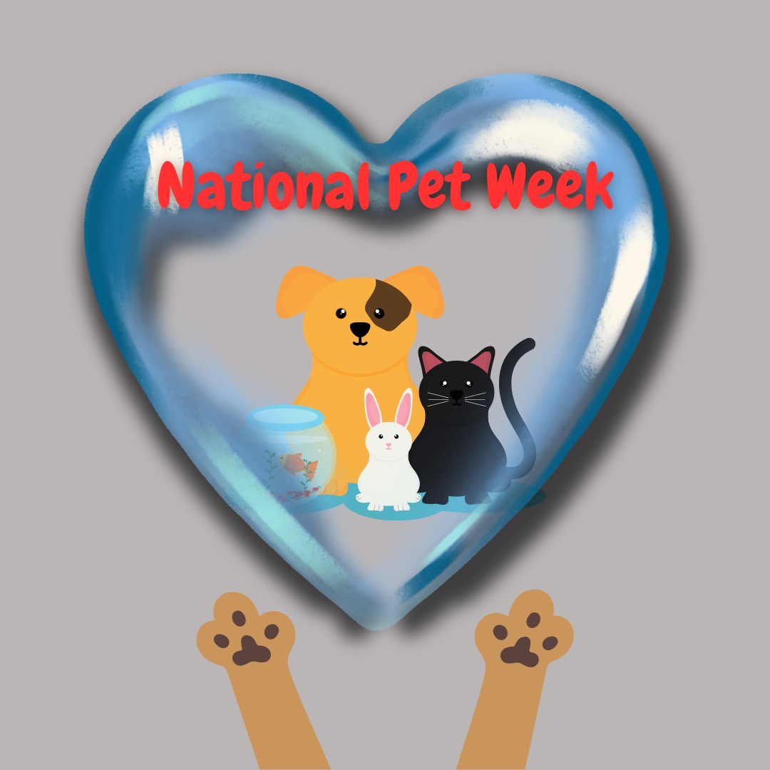 National Pet Week is here! Let's honor the bond between humans and their furry friends.

#NorthBentwoodVeterinaryHospitalAndBoarding #SanAngelo #Veterinarian #PetBoarding #LaserTherapy #PetDental #PetAllergies #AnimalHospital