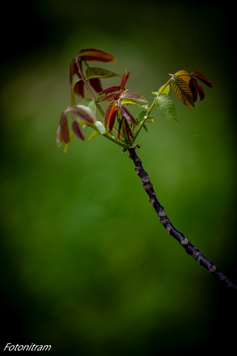 Ein schönen guten Abend, Freunde, das Wochenende ist hiermit, eingeleitet, Gruß Nitram 😎🫶💐🙏🙋‍♂️