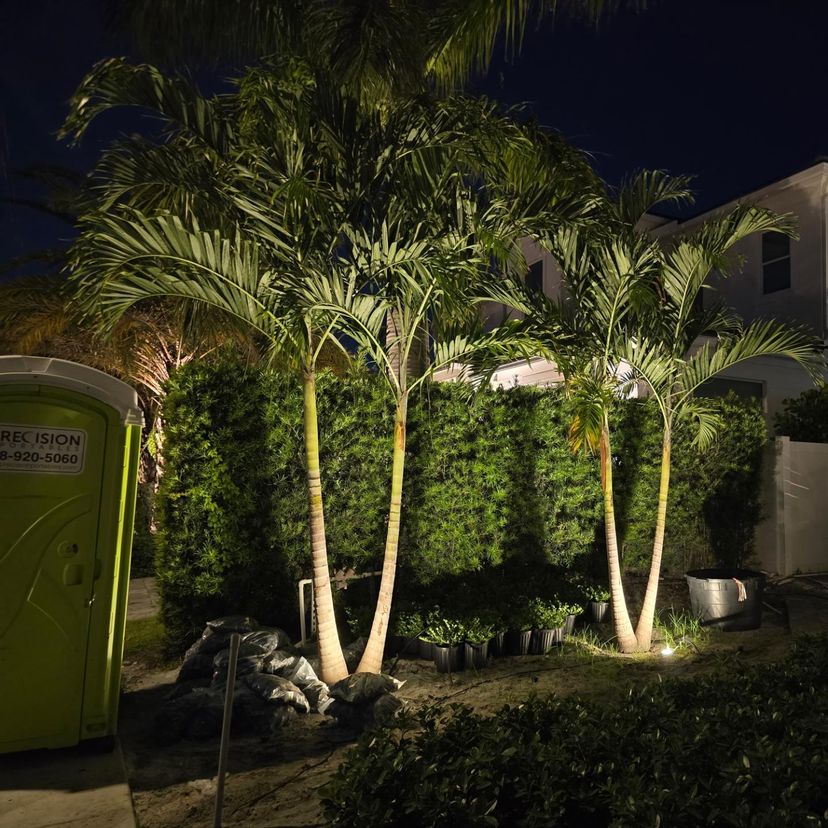 Dauer Manufacturing tweet media