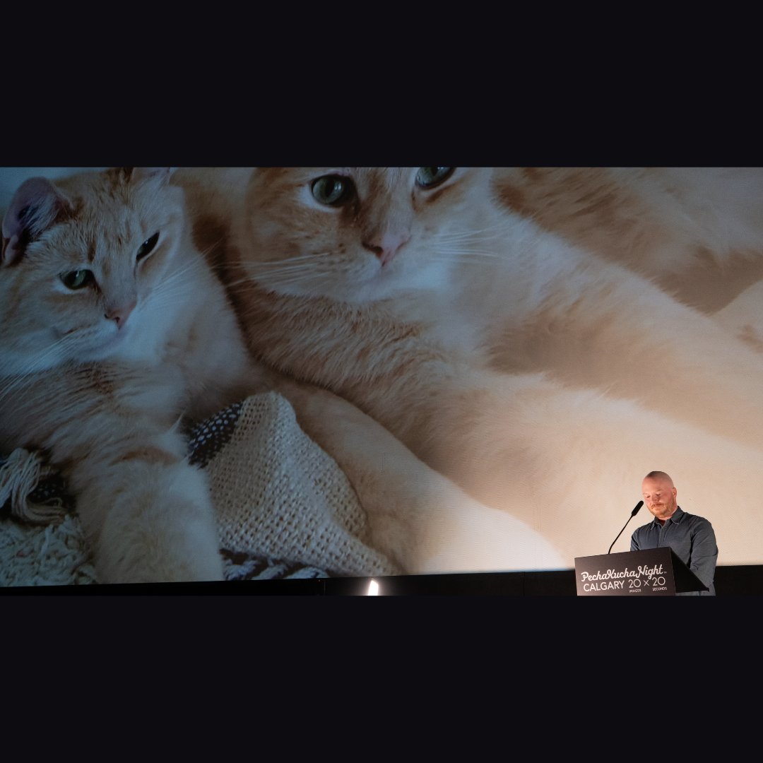 PechaKuchaYYC's tweet photo. https://t.co/DDrh7IxC3r